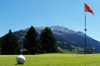 Immagine del Bormio Golf Club