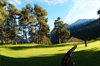 Immagine del Green al Bormio Golf Club