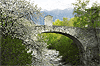 Immagine del Ponte di Combo a Bormio