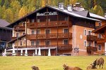 Galli