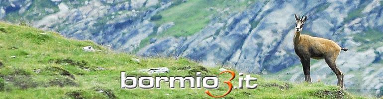 Il camoscio nel Parco Nazionale dello Stelvio