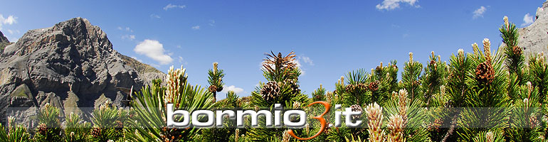 Il Parco Nazionale dello Stelvio