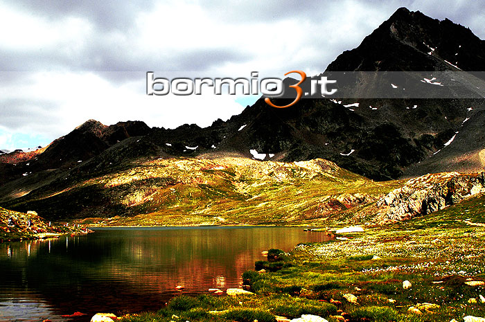 Lago al Passo del Gavia