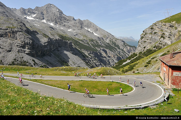 Immagine dalla Mapei Day Re Stelvio 2010