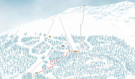 Pista Genziana bormio
