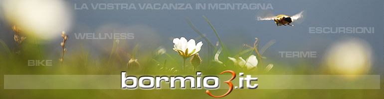 Vacanze in Montagna a Bormio