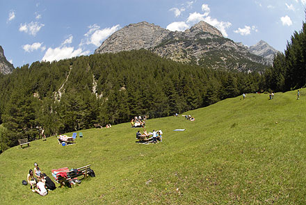 Boscopiano nella Valle del Braulio